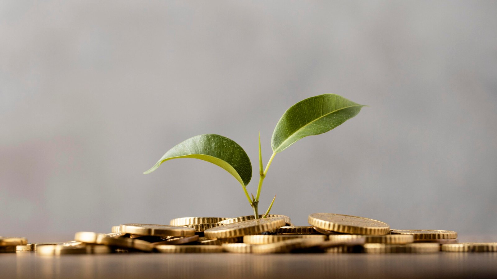 Como começar a investir do zero?